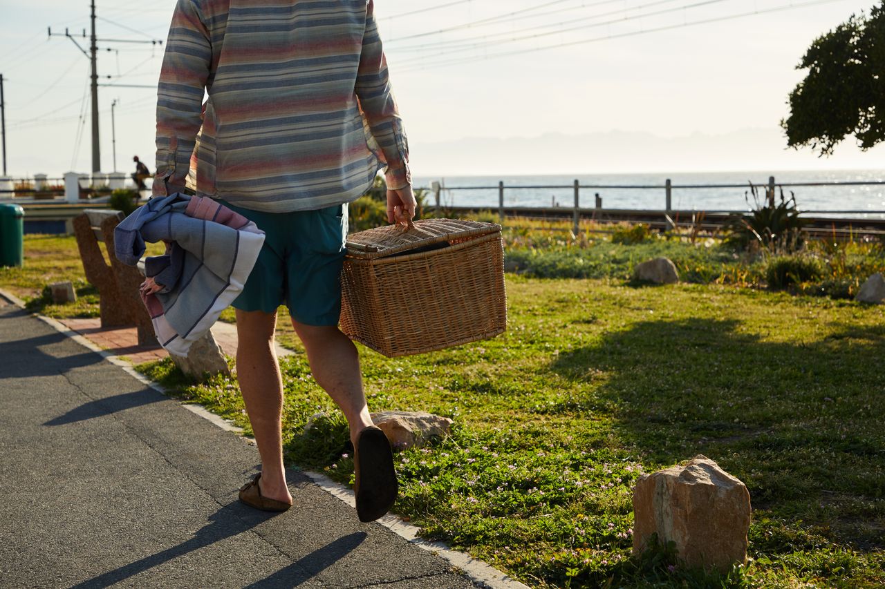 vision A person strolls on a sunny park path beside the ocean, carrying a picnic basket and blanket.